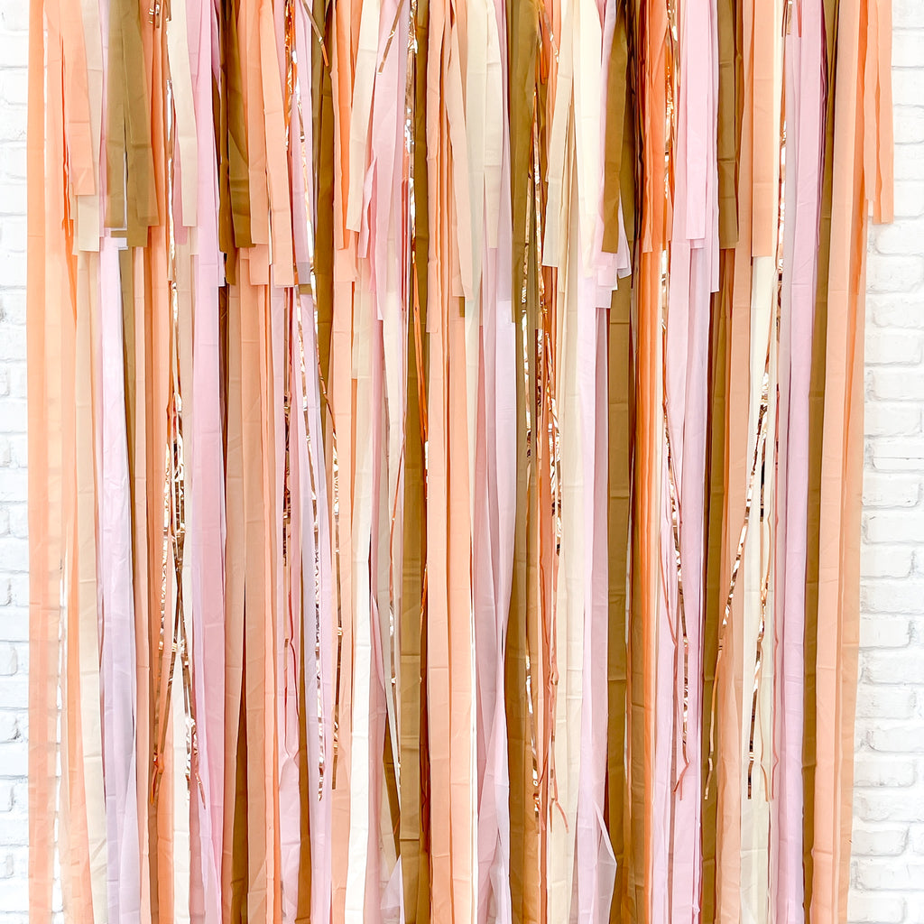 Peaches and Cream Fringe Streamer Backdrop