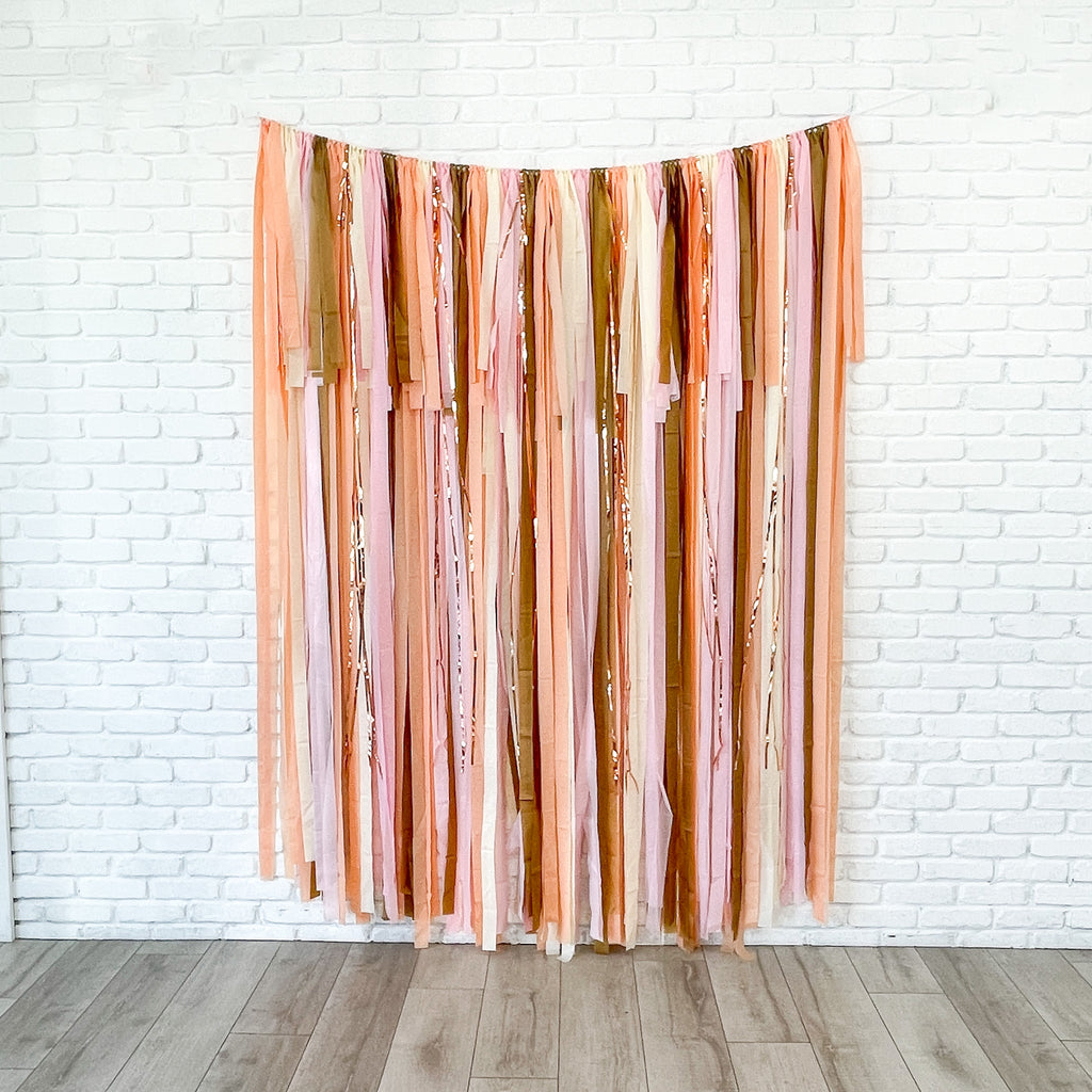 Peaches and Cream Fringe Streamer Backdrop