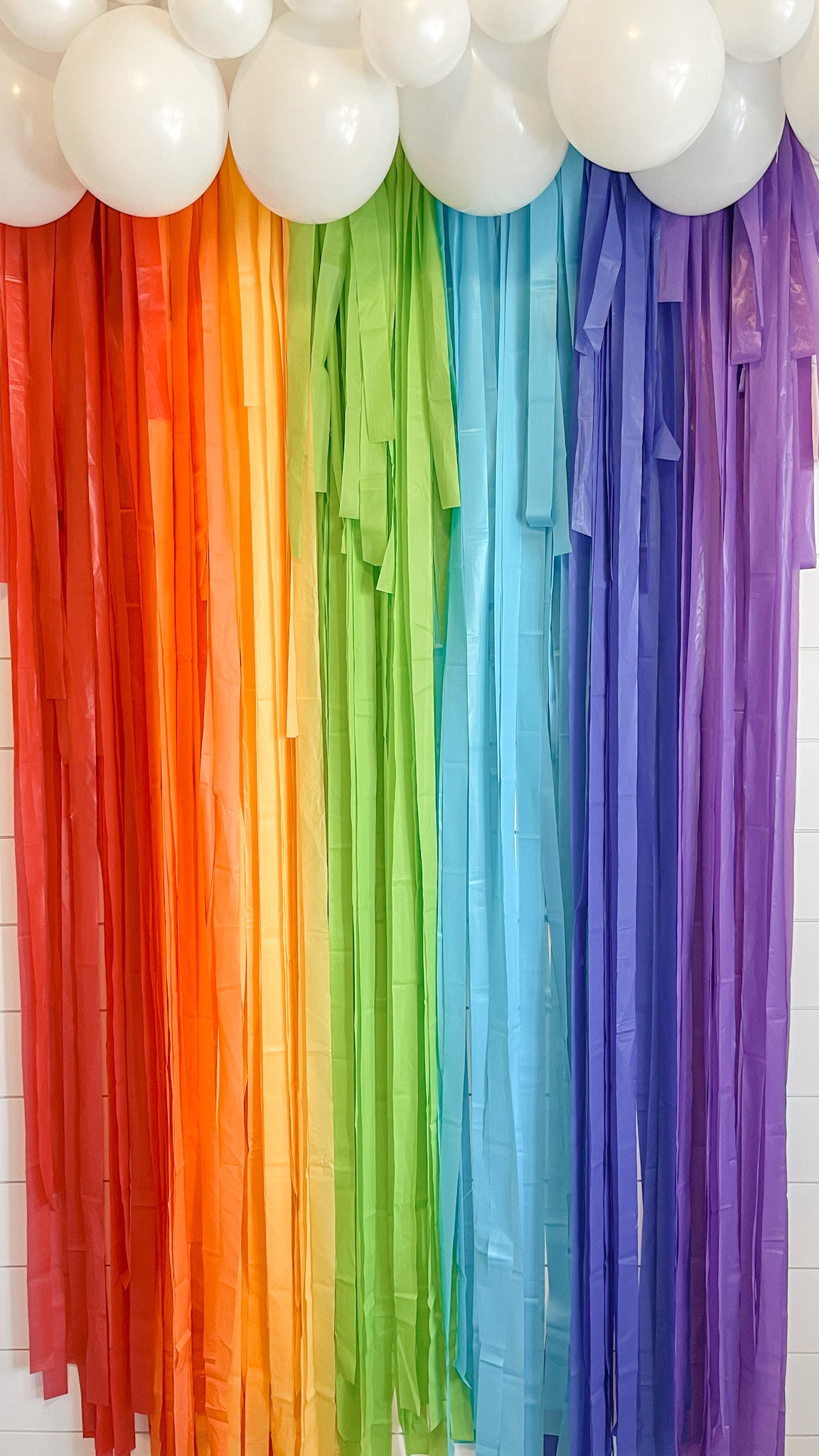 Pastel Rainbow Fringe Backdrop, Streamer Backdrop, Pastel Backdrop, Party  Backdrop, Rainbow Party, Rainbow Backdrop, Rainbow Garland -  Sweden