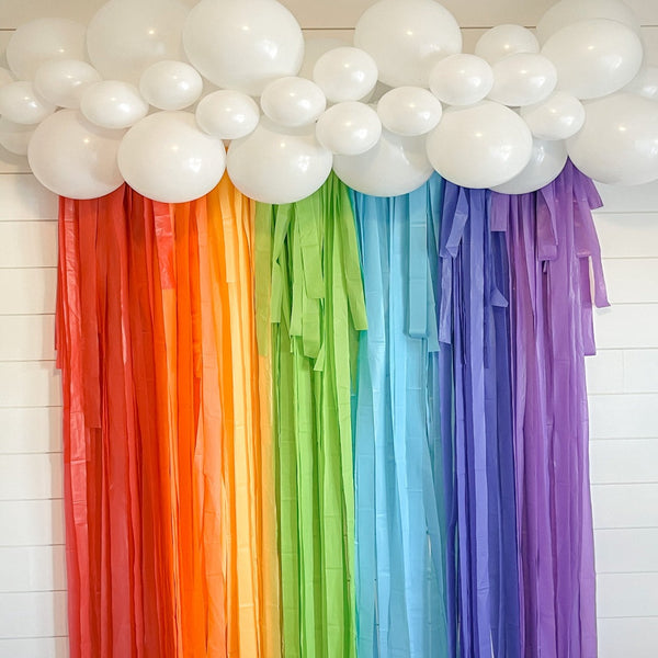 Classic Rainbow Fringe Streamer Backdrop – Partyinapinch