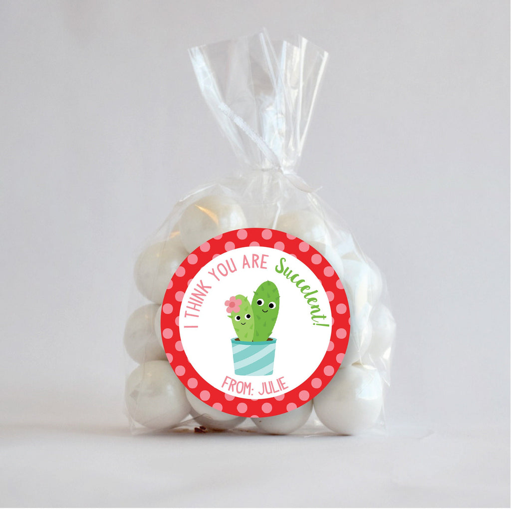 Personalized Valentine Cactus Favor Stickers, Valentine Stickers, Valentine Favor Stickers 2.5", Valentine Stickers and Treat Bags, Cactus